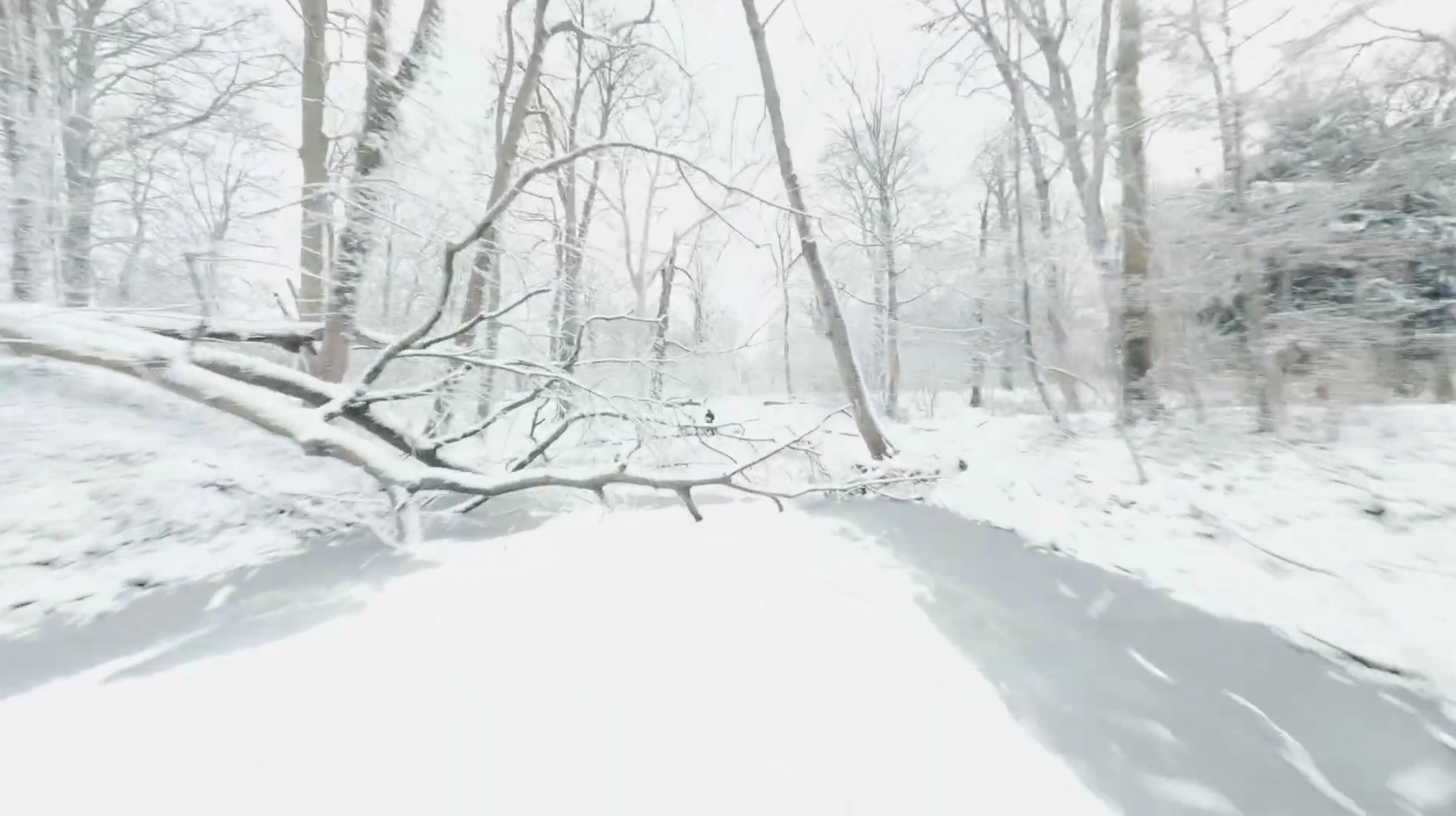 Prises de Vues Cinématiques